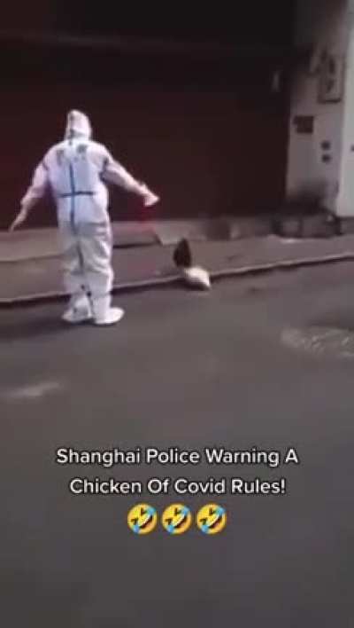 🤣🤣🤣 Go home chicken !