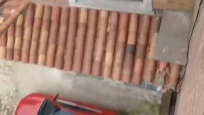 Mario cats..🐈🐾