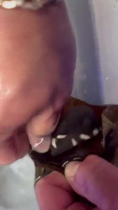 Помощ в рождении