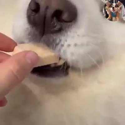 Strategy to stay healthy...