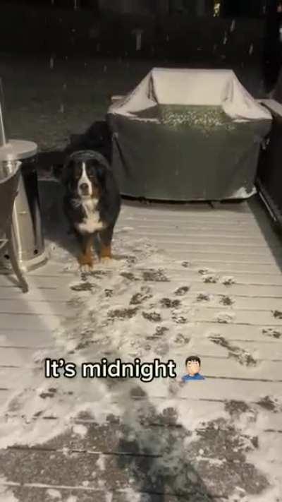 Come sleep outside with me mom, it's so nice out here!