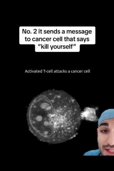 T-cell