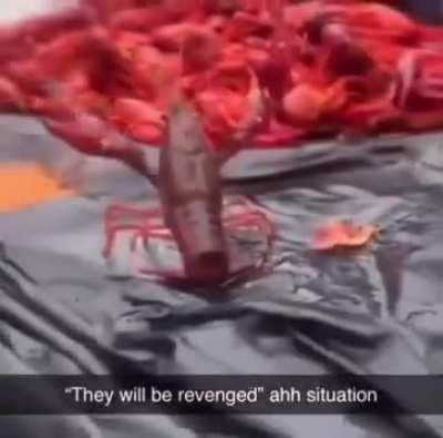 Lewis Therin after he got cured