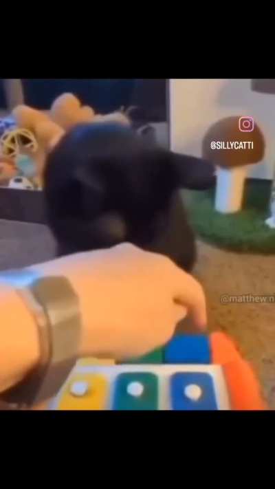 que talento 😭💕