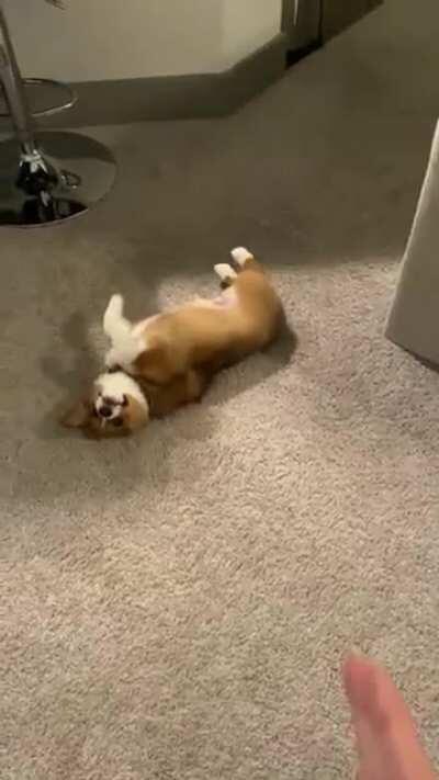 Can I show you what I learned today? 🥺