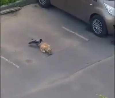 Partners in crime 🤣