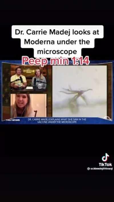 Vaccine under the Microscope