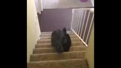 made this one myself