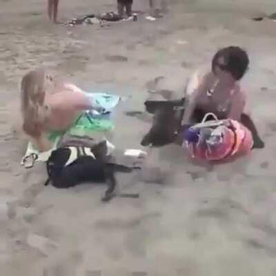 We Found a WW2 time traveler.