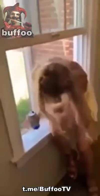 Ugh get this outta my way