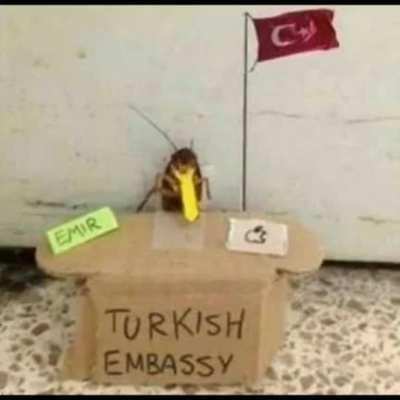 Average Turk