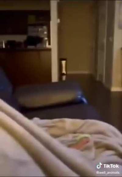 Scared of Darth Vader...