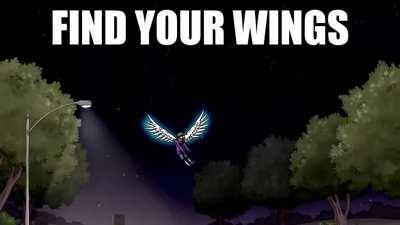 find ya wings