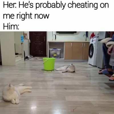 It gets better every time