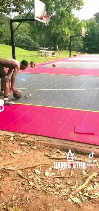 Squirrel learns to play basketball