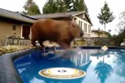 &Eacute; por isso que entro nesse sub!