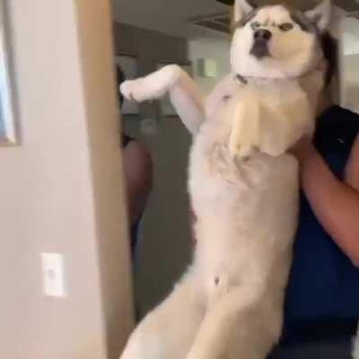 Wait wait not again...