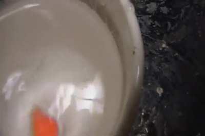 Aşırı ısınmış nikel elementinden yapılan bir topu suya atınca olan tepkime