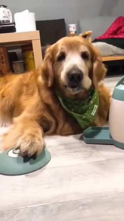 Cute and intelligent