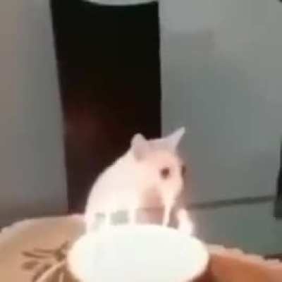 Losercity posting so I can lurk after 100k