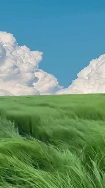 A windy valley. Found on r/NatureIsFuckingLit.