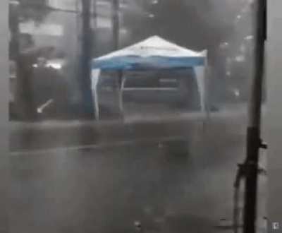 Pavilion is not a mimic