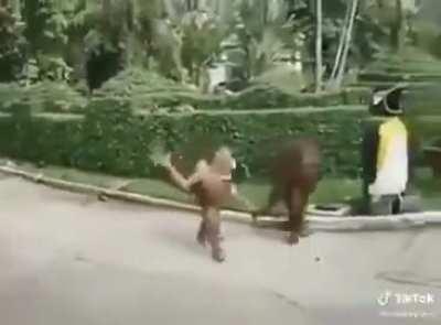 boys only want one thing and its disgusting (el video vale 5 subs asi que upvote)