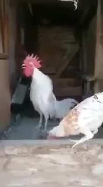 I think it's out of gas.