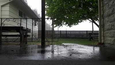 Raining in Christchurch, New Zealand. A view from the backyard of my workplace 🧡🧡🧡 ☕☕☕