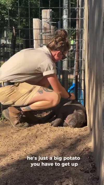 Mars Is, Once Again, A Study in Zen