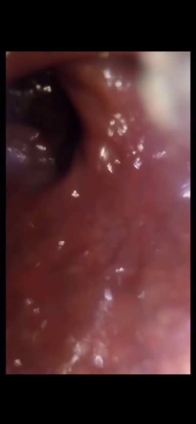 All I Want for Christmas is Your tiny body Stuffed in My Ass… Then Devoured