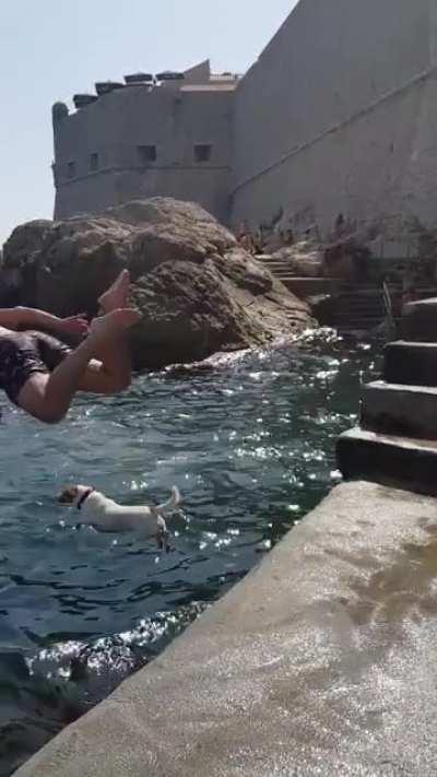 Found my new jumping buddy on vacation this year !