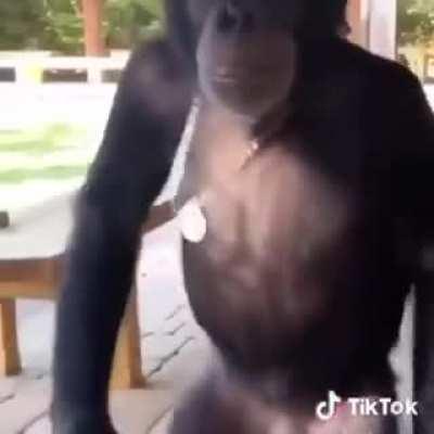 Monk Cena Facherito. 😈👍