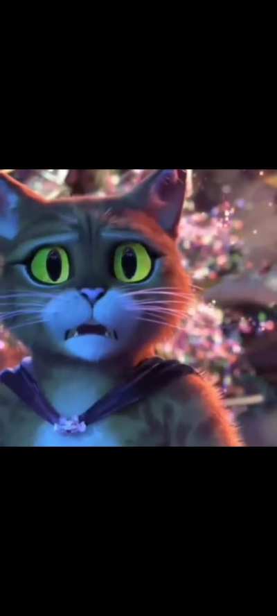 Aw shit here we go Again