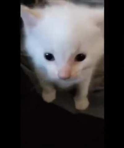 Herbert confirmed wavy