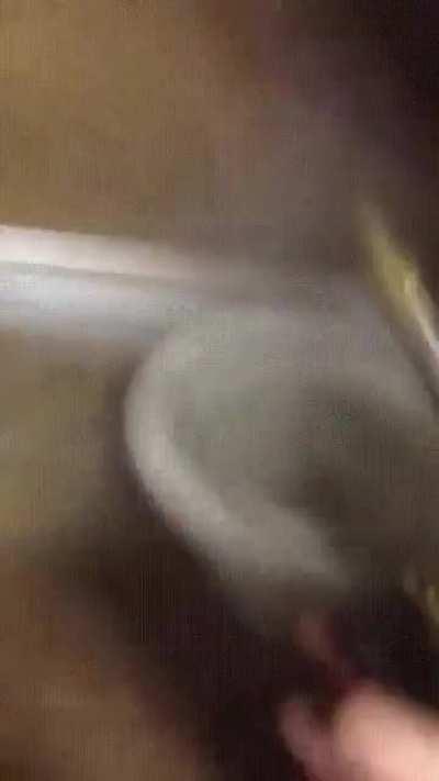 Found this little gem, that seems out of topic , in a relatively obscure subreddit.