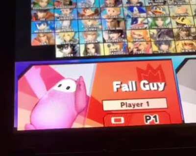 So my uncle who works at nintendo let me test out challenger pack 8 and I managed to get a picture!!!