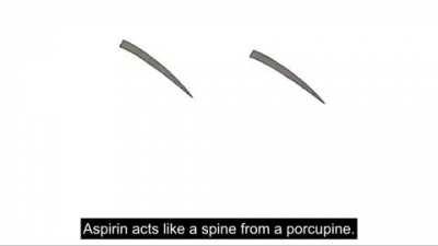 How Do Painkillers, Such As Aspirin And Ibuprofen, Work?