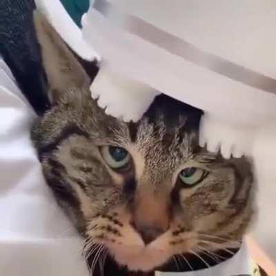 Cross-eyed scratchies