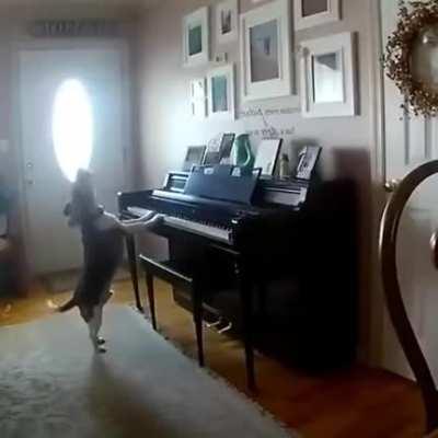 simplesmente beautiful