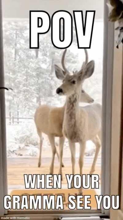 Oh so that how you see me