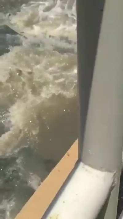 Eu tenho pena desse cara...