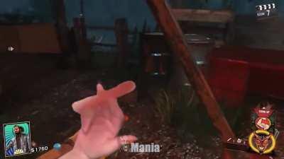 The Rave in the Redwoods experience