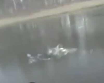 Golf in ice?...why not, what could go wrong?