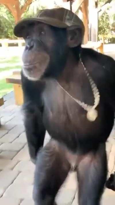 Eu a sair da worten depois de enfiar um frigorífico inteiro pelo cu acima