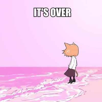 the silly internet cat staring at the ocean