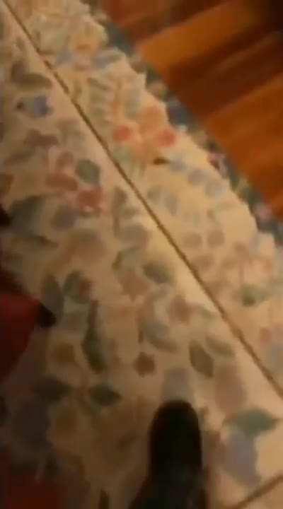 My man loves pooping