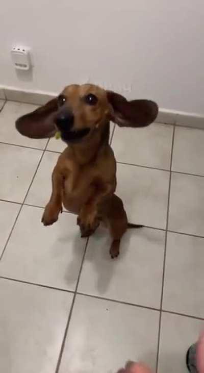 The taste of betrayal😑