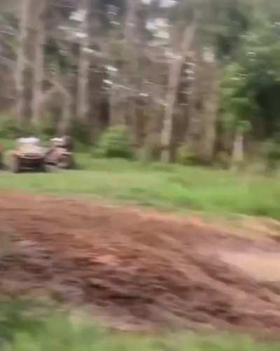 Not what you thought was going to happen