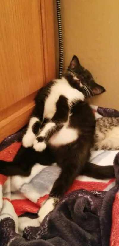 My sweet little sleepy head Cassia.